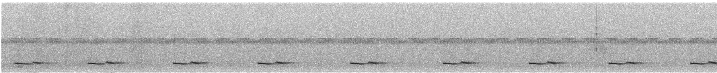 Chotacabras Pachacua - ML463173581