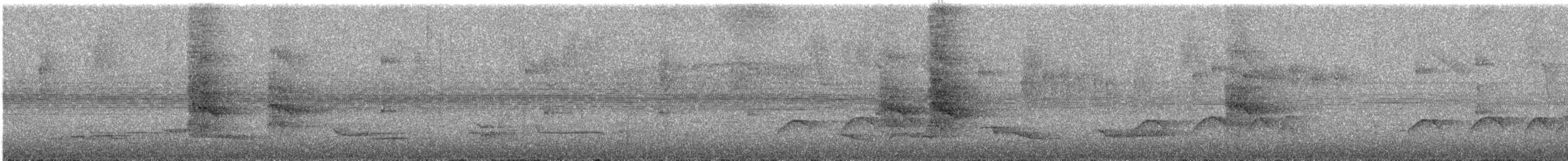 Tirikasittich - ML46318681