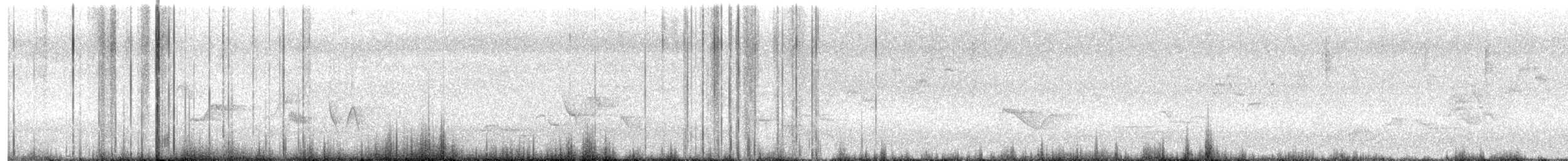 Swainson's Thrush - ML463187941