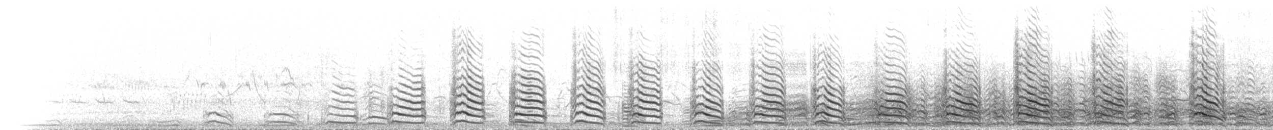 Armenienmöwe - ML463209681