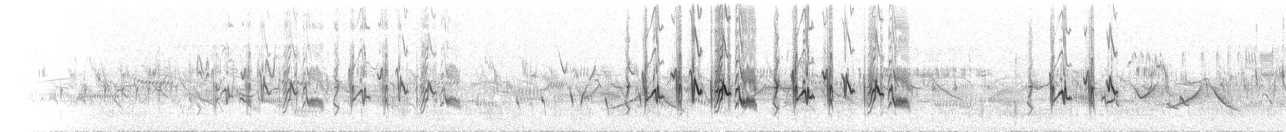 חצוצרן חרמון (מזרח תיכוני) - ML463236981