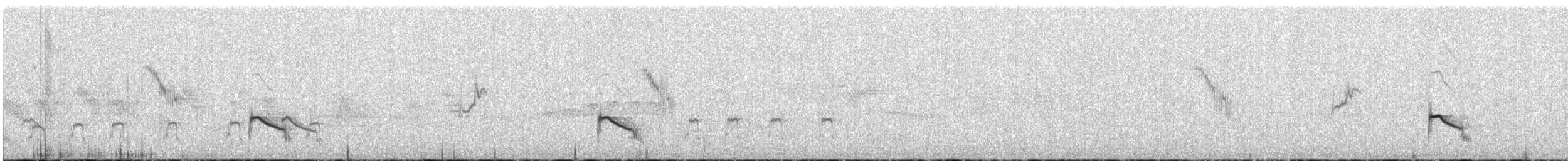 Little Ringed Plover - ML463244491