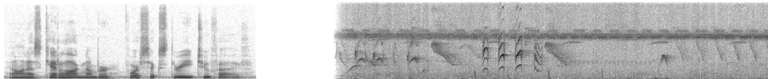 Rufous-breasted Spinetail - ML46325