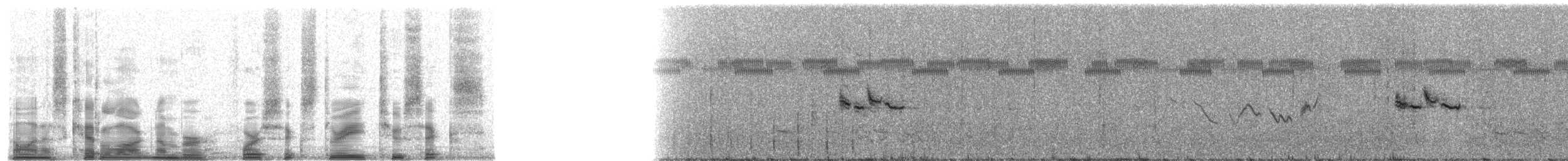 Gray-crowned Yellowthroat - ML46326