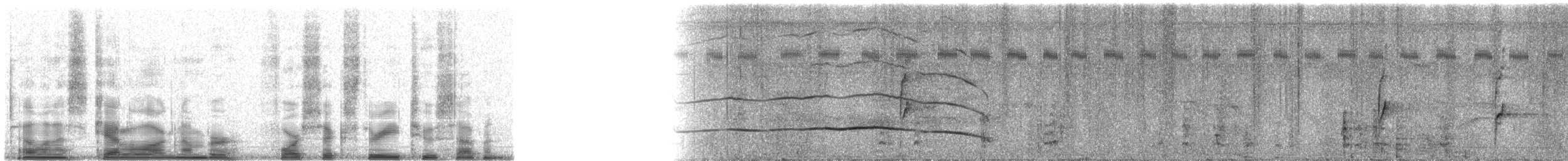 Crested Guan - ML46327