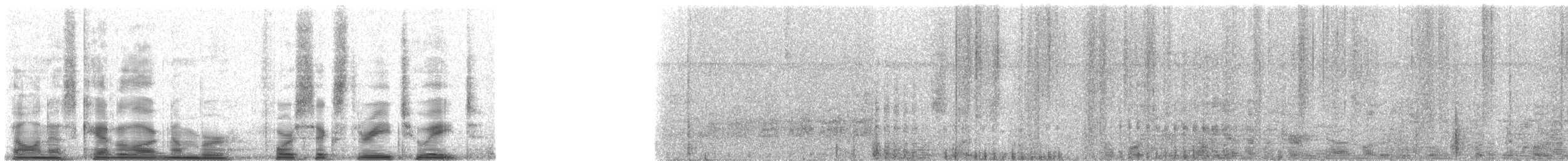 Baird's Tapir - ML46328