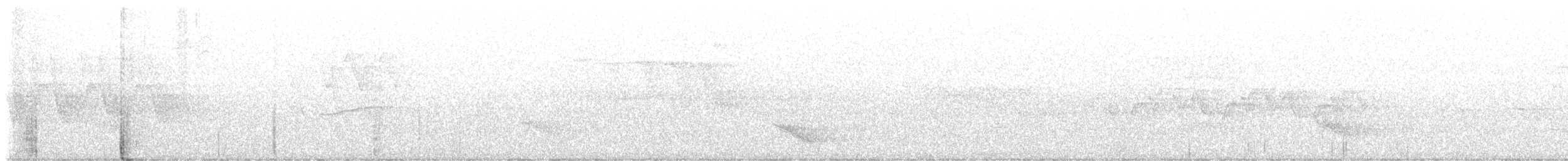 Veery - ML463284771