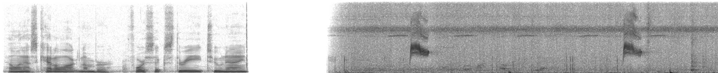 Common Nighthawk - ML46329