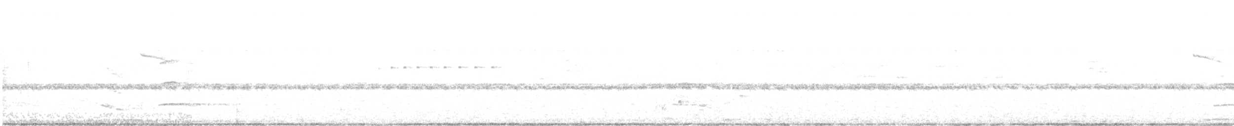amazónek šupinkový - ML463302301