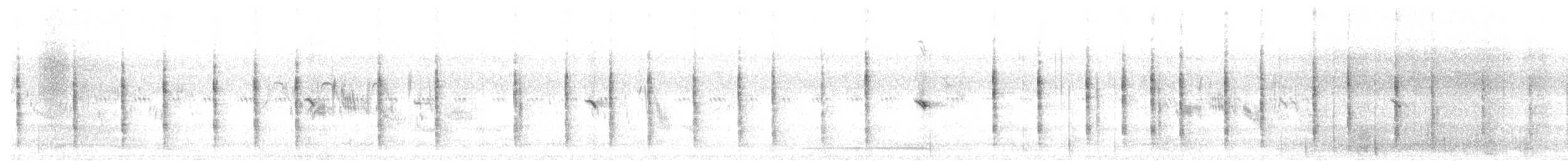 bělořit šedý (ssp. oenanthe/libanotica) - ML463306811