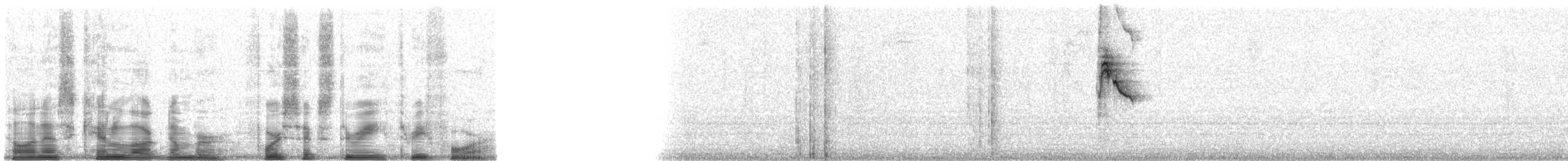 Bay-breasted Warbler - ML46334