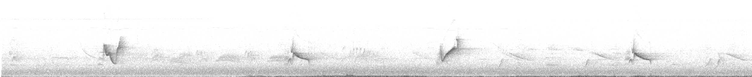 Kurşuni Vireo (notius/montanus) - ML463343681