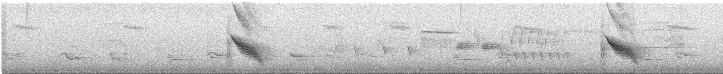 Spotted Towhee (oregonus Group) - ML463393221