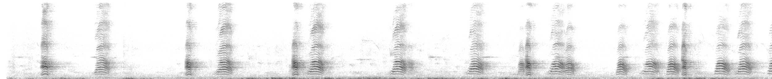 Weißbauch-Lärmvogel - ML463413281