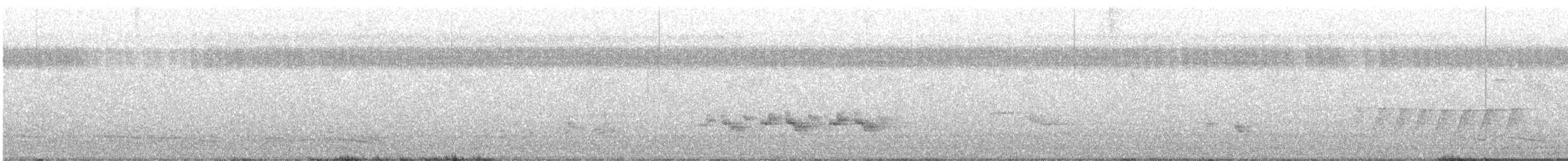 Black-naped Monarch - ML463479181