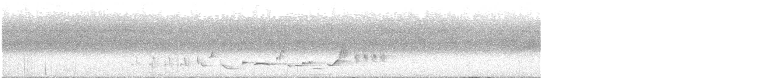Scott's Oriole - ML463483721