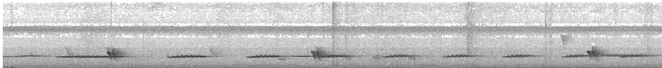 Little Tinamou - ML463485201