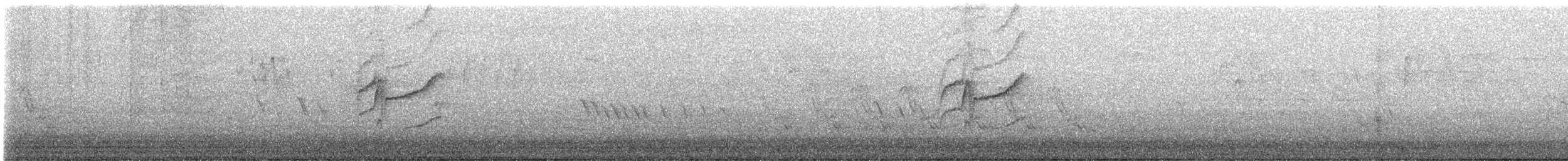 Поплітник каролінський - ML463498821
