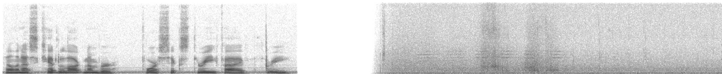 Red-breasted Nuthatch - ML46353