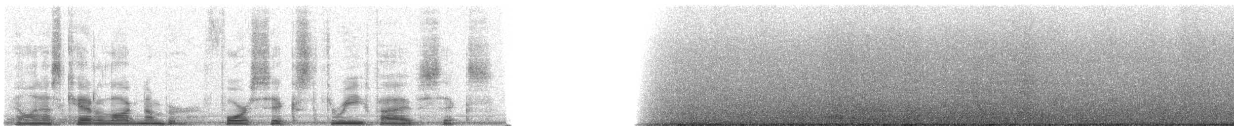 Common Raven - ML46356