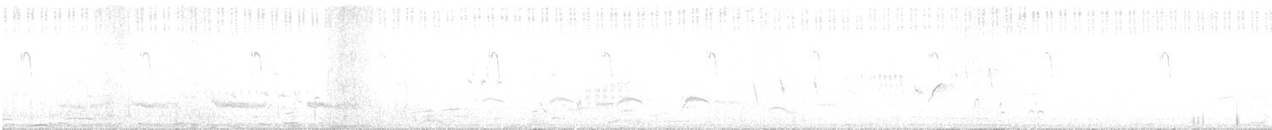 Золотистая цистикола - ML463575621