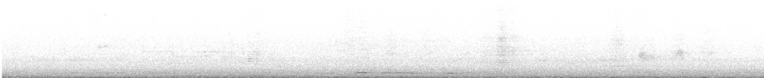 珠頸斑鳩(chinensis/tigrina) - ML463611541