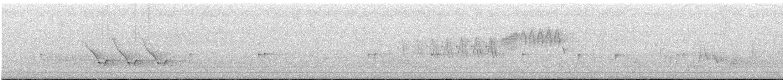 Поплітник каролінський - ML463613321