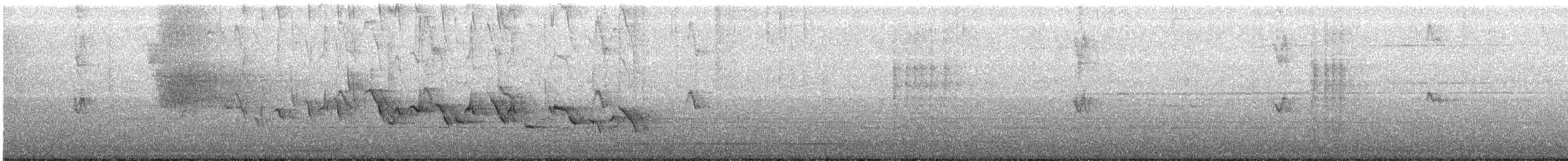 House Finch - ML463643071