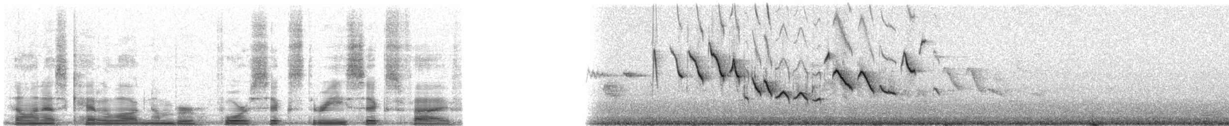 Mangrove Yellow Warbler (Galapagos) - ML46365