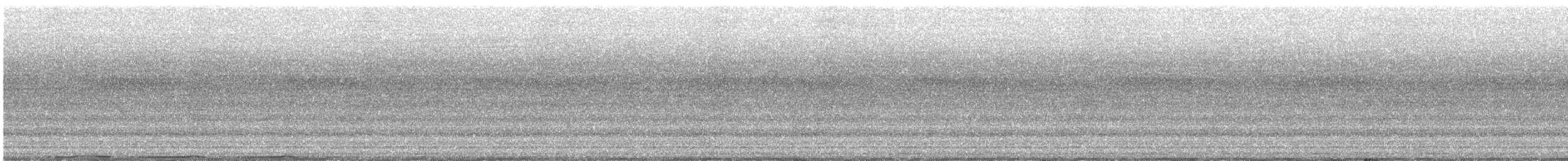 holub pásochvostý - ML463661531