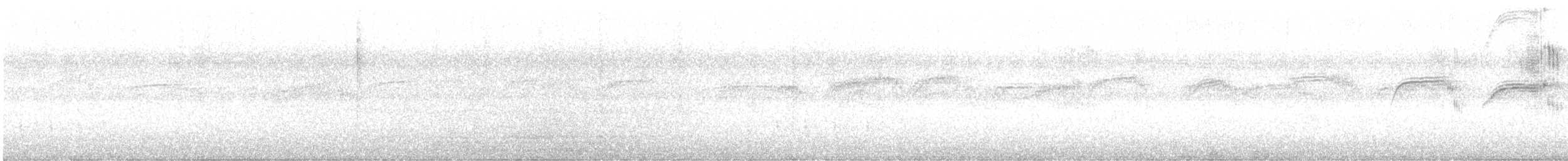 ヨーロッパアマツバメ - ML463662891