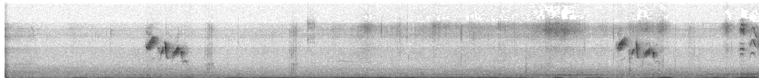 Viréo nain - ML463696391