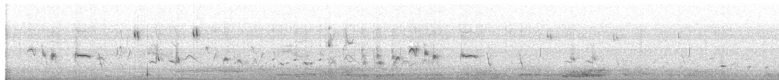 Cuitlacoche Ocelado - ML463697851