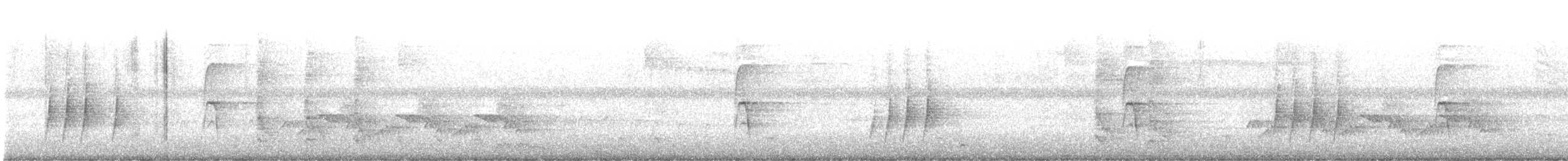 Wood Thrush - ML463738551