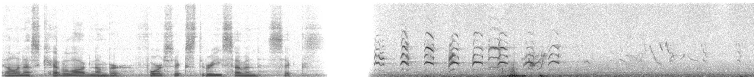 Galapagos Hawk - ML46376