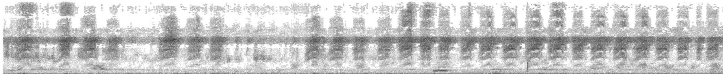 Pie-grièche schach - ML463766281