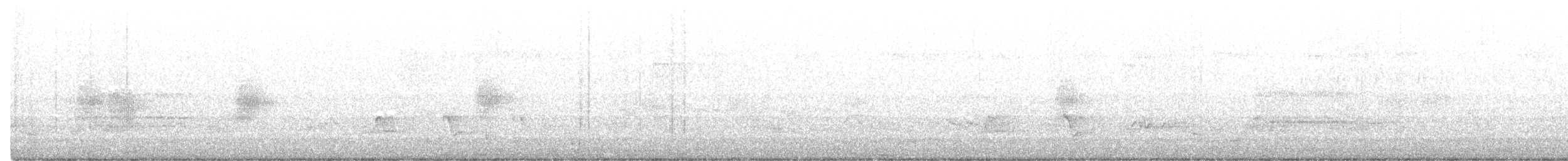 Kuzeyli Sert Kanatlı Kırlangıç - ML463775351