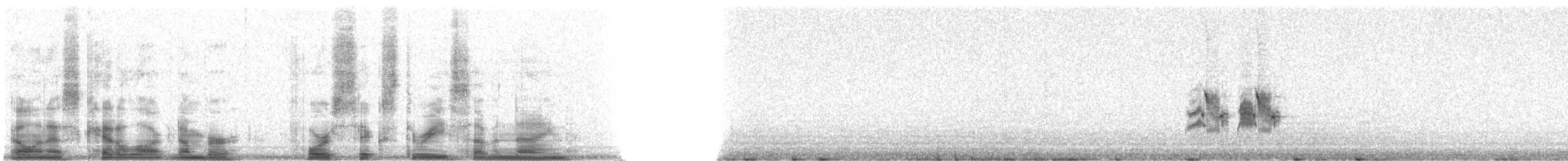 Geospiza sp. - ML46379