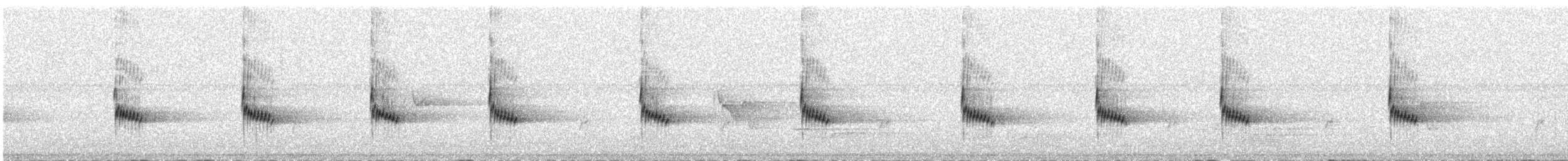 Carolina Wren - ML463792091