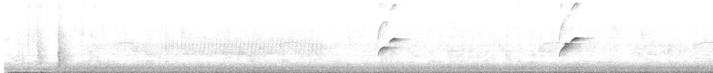 Batı Amerika Sinekkapanı (occidentalis/hellmayri) - ML463826861