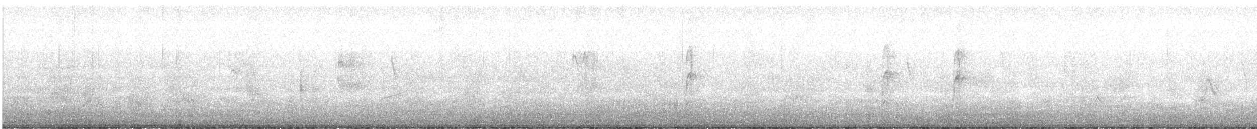 Yellow-billed Tern - ML463856111