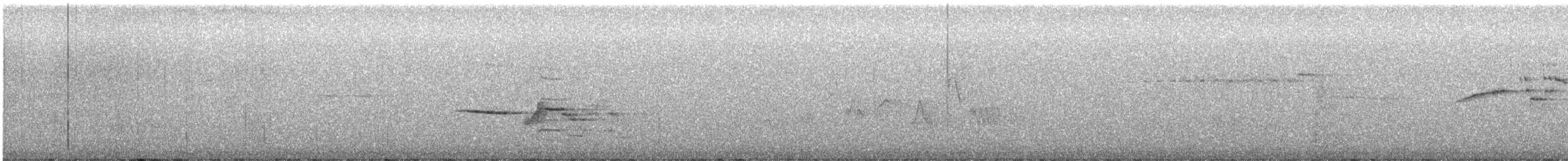 eremittskogtrost (guttatus gr.) - ML463872491