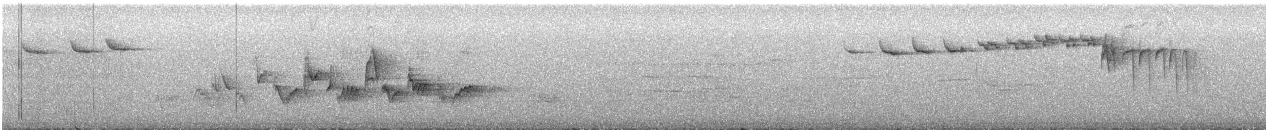 Warbling Vireo (Western) - ML463872501
