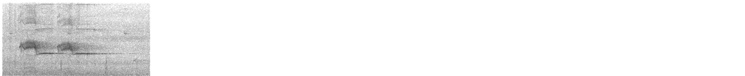 špaček bělokrký - ML463875261