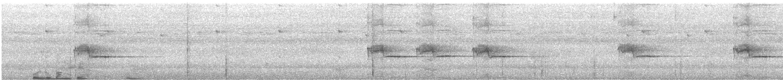 špaček bělokrký - ML463875271