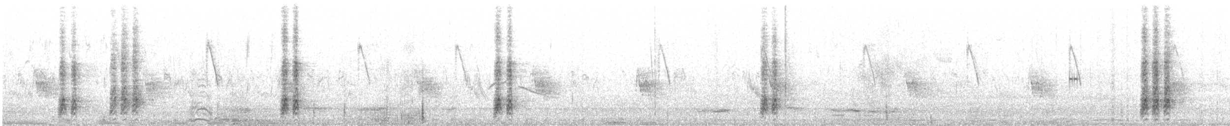 maghrebskjære - ML463877001