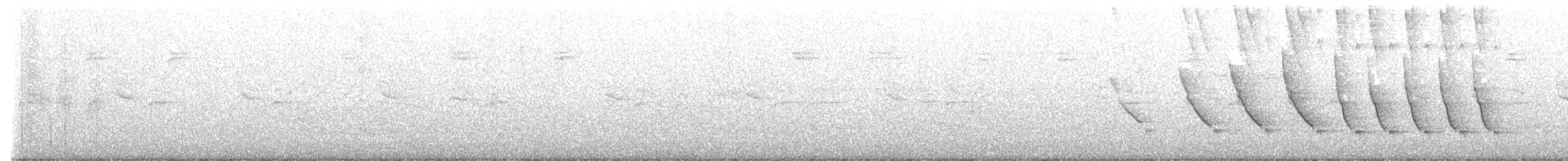 Northern Cardinal - ML463888711