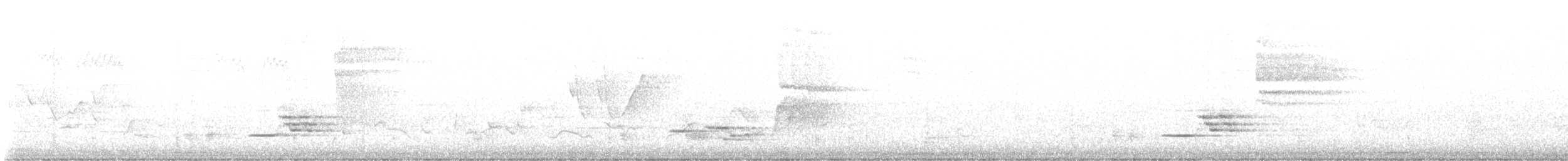 Wood Thrush - ML463934701