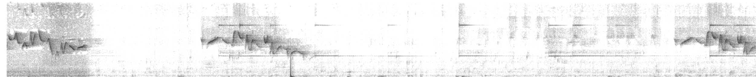 Тимелія-куцохвіст велика (підвид albiventer/pallidior) - ML463957261