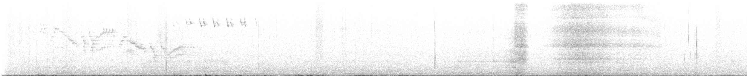 Grive de Bicknell - ML464028811
